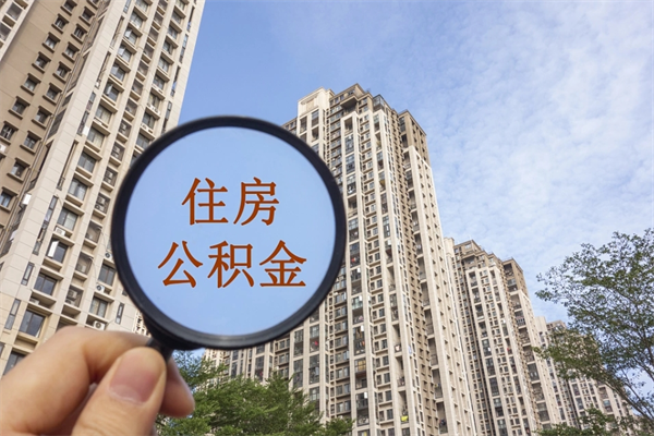 上海在职员工公积金怎么提取出来？手把手教你轻松取出账户里的钱